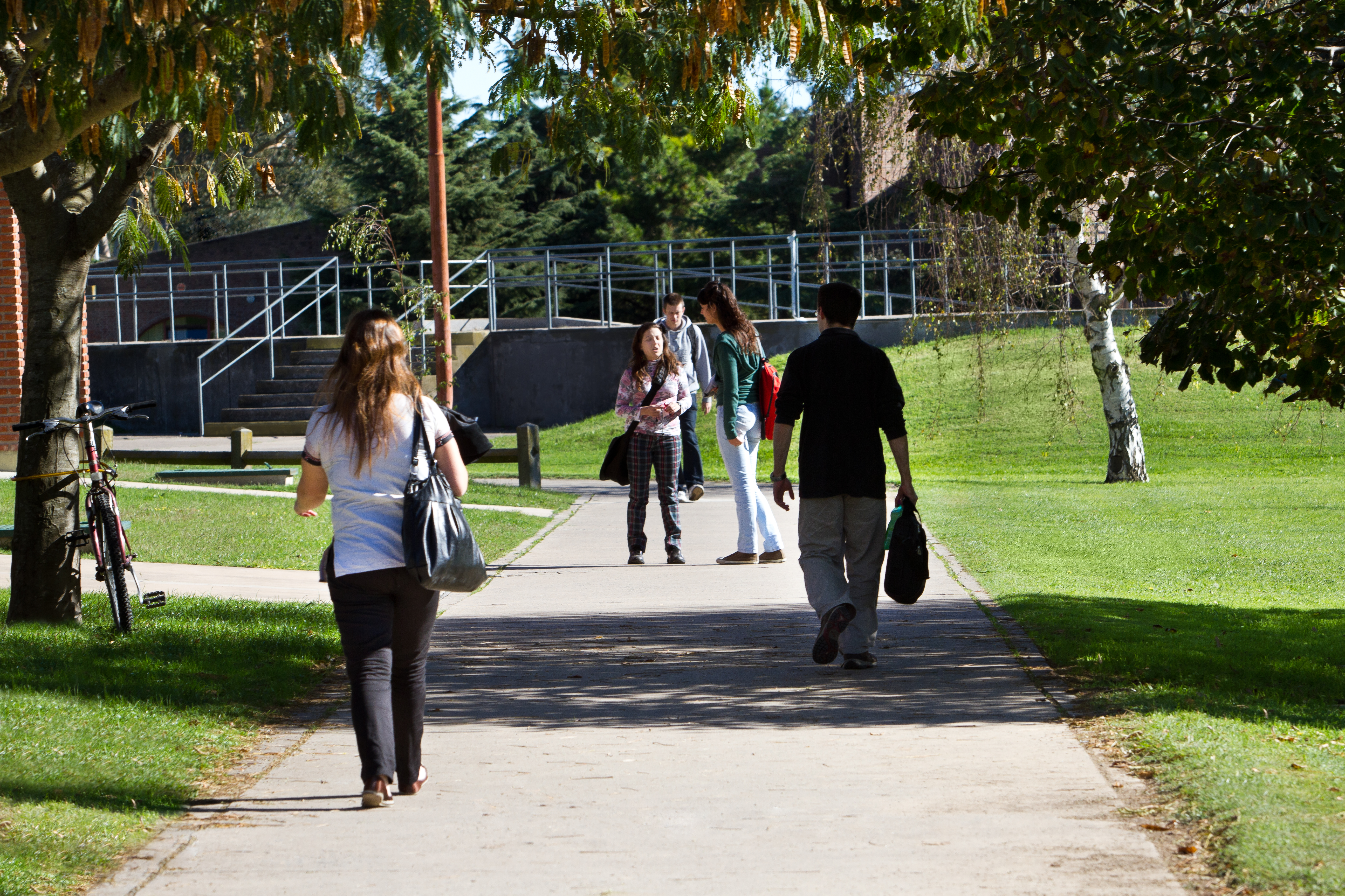 Campus y estudiantes 8