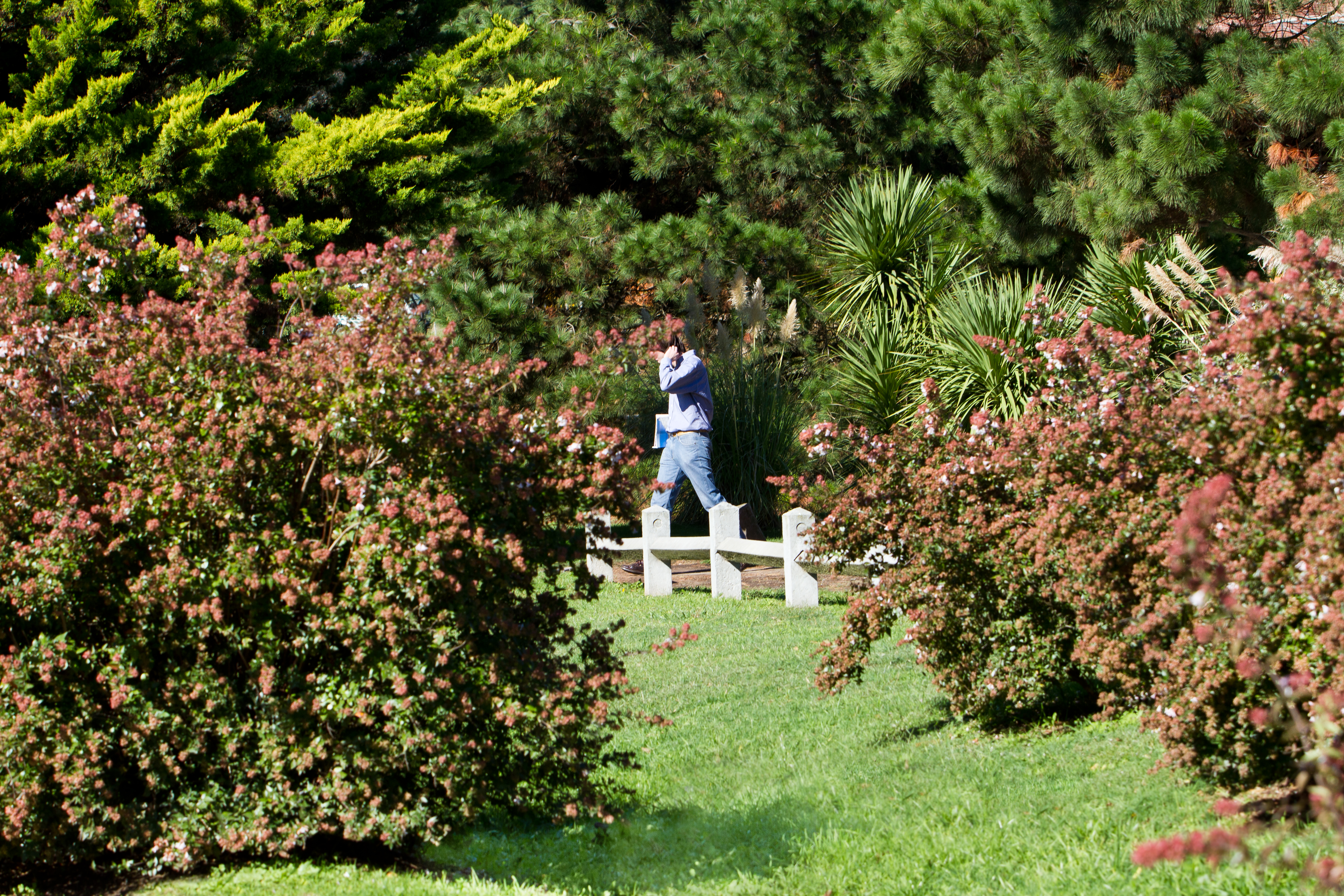 Campus y estudiantes 7