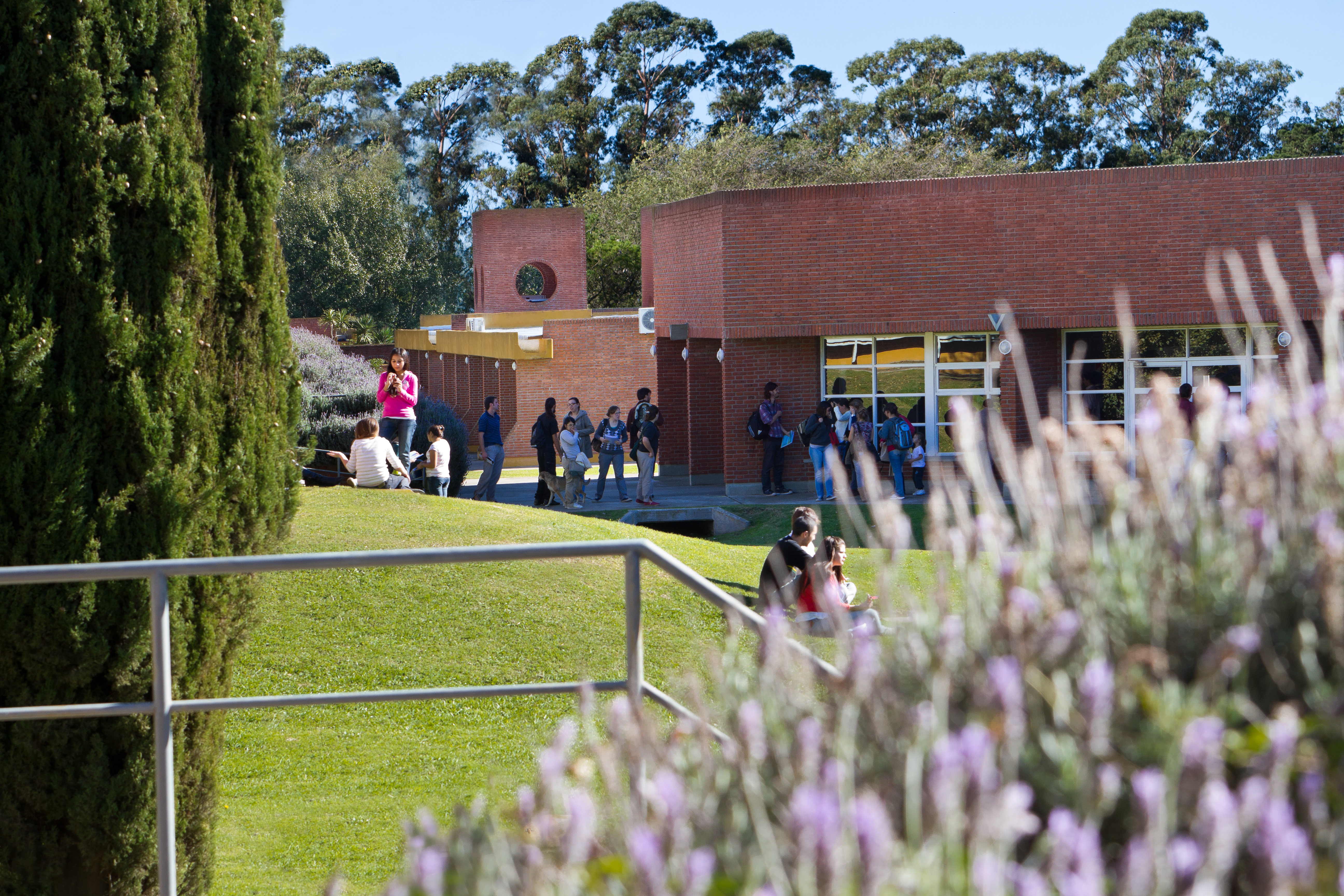 Campus y estudiantes 3