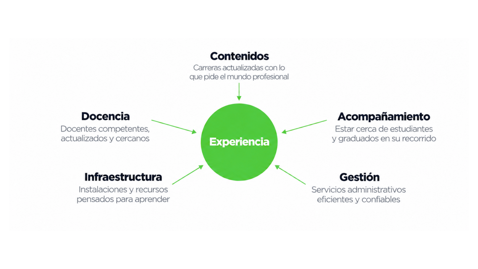 IMAGEN 3
